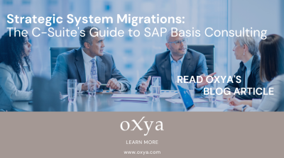 Strategic System Migrations: The C-Suite's Guide to SAP Basis Consulting